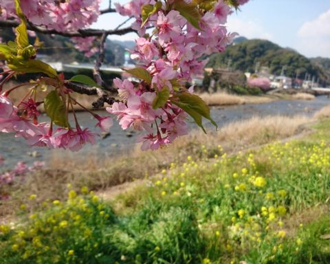 Så er det forår i Japan