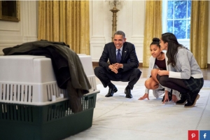 Official White House photograph, Peter de Souza. Familien Obama får en hund (2009)
