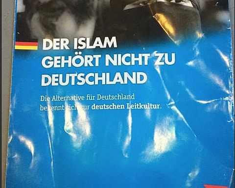 Tysk alternativ stormer frem – til møde med det højrenationale parti AfD