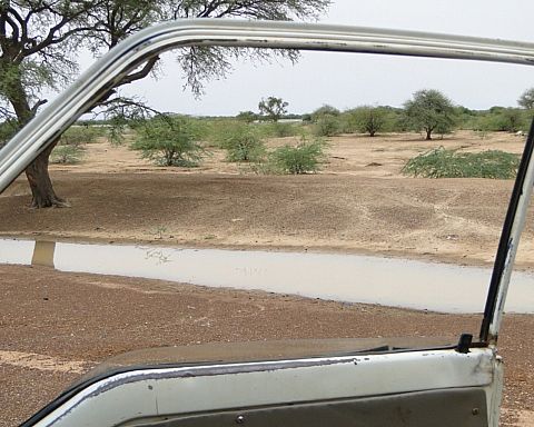 Rejsebrev: Med ambulance gennem Sahels vandmasser