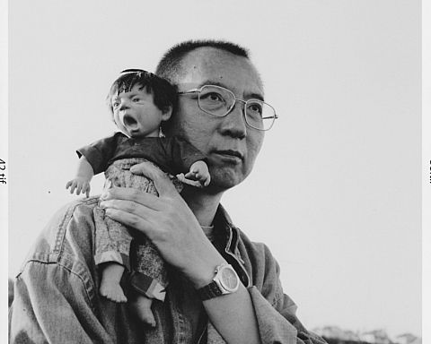Svækket Liu Xiaobo løsladt i Kina