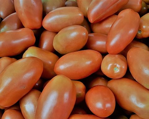Charlottes Cucina: Semifreddo Cazzola-pasta med tomatsovs og tropealøg