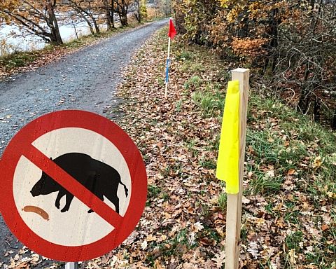 Langs hegnet #6 – Hvis svinepesten kommer, må Jakob Jørgensen gå fra slægtsgården
