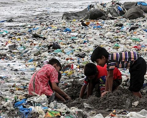 Virksomheder og foregangslande over hele verden siger nej til plastikfrås