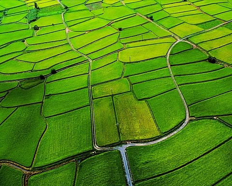 Klimagevinsten går fløjten: Landbrug får kloden til at se grønnere ud