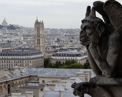Fotoreportage: Notre-Dame – et helt særligt symbol for franskmændene