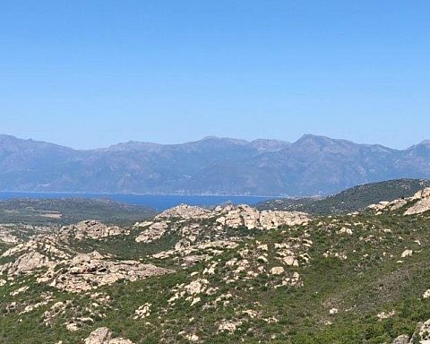 Alle vil have en bid af ‘skønhedens ø’ – betragtninger fra Korsika