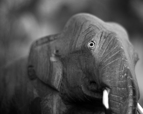 Odile Poulsen: Elefanten i rummet spiser sig tyk #76