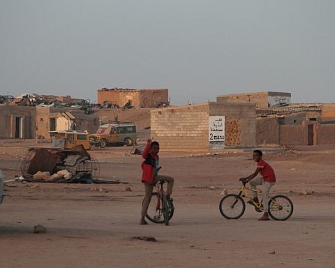 Vestsahara – en af Afrikas glemte og længste konflikter