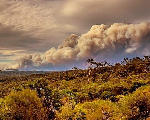 Australien brænder: Det er svært at forstå omfanget af katastrofen
