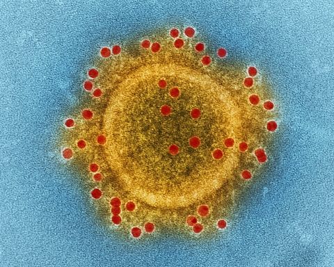Læger Formidler: Hvor farlig er den nye coronavirus?