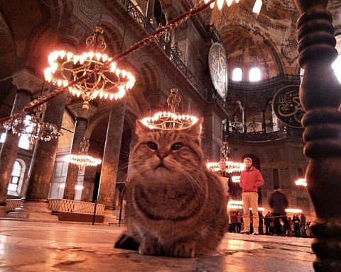 Hagia Sophia – Den Hellige Visdom