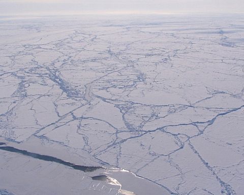 Nyt studie advarer: Vi har undervurderet, hvor hurtigt Arktis smelter