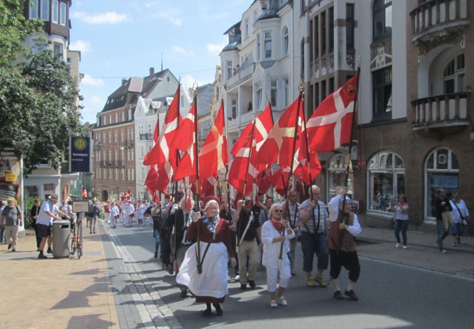 Det danske mindretal