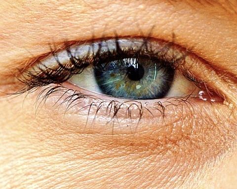 Kulhydrat i tang giver håb om behandling af uhelbredelig øjensygdom, der rammer 6000 danskere årligt