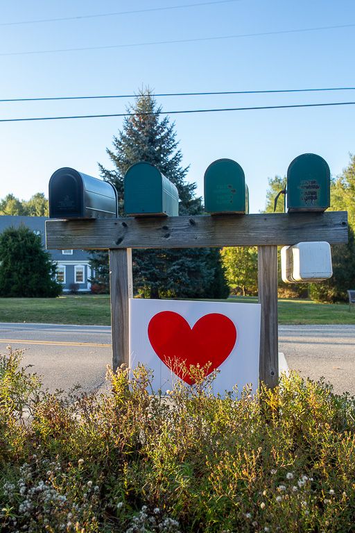  I den lille by Yarmouth i Maine er borgere begyndt at sætte hjerter op, som modstykke til de mange politiske skilte, der har præget folks forhaver i løbet af valgkampen. Foto: Martin Poul Gangelhoff Hansen