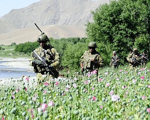 Australiernes krigsforbrydelser i Afghanistan er et fjernt ekko fra Vietnam