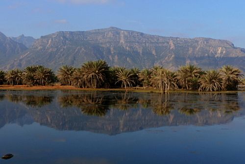 Socotra paradis