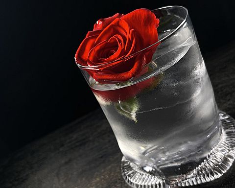 Hvid januar med fuld smæk på de alkoholfrie cocktails