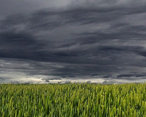 Klima på gaflen – omstilling af dansk landbrug