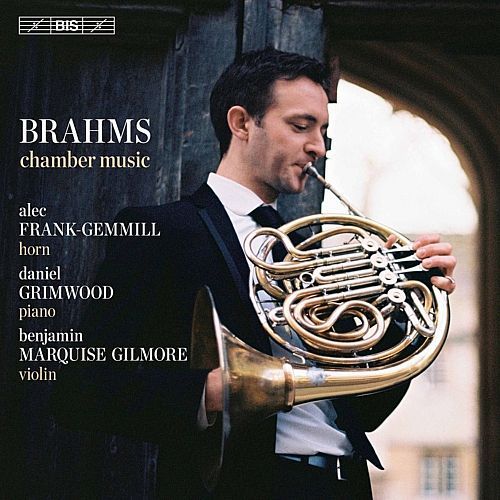 Kammermusik - Brahms Horntrio