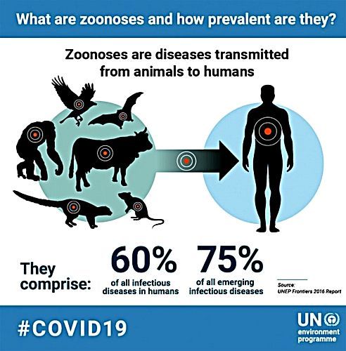 covid-19 coronapandemi-virus x