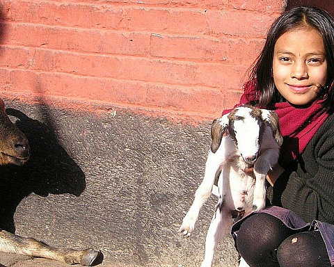 Hos Badi’erne i det vestlige Nepal går prostitution i arv fra mødre til døtre