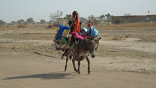 Sahel Tchad