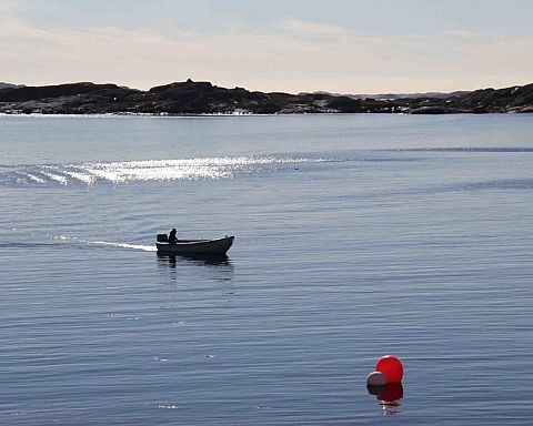 Grønland går til valg – er Danmark ved at sige farvel til Arktis?