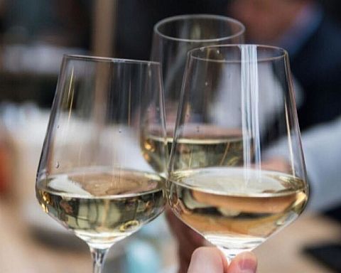 VinoFiilens Vinviden: Mod varmere dage med Riesling i glasset