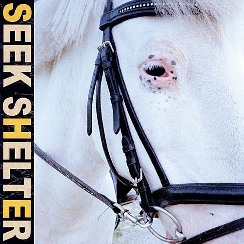 Iceage-Seek-Shelter