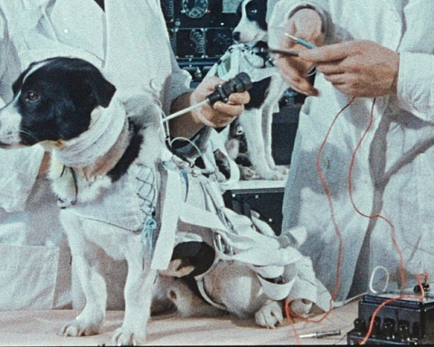 Space dogs - Cinemateket