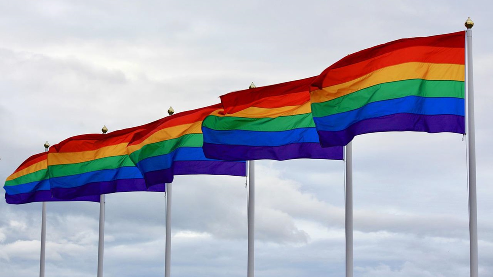 LGBTQ, normstormerne og Laura Rosenvinge