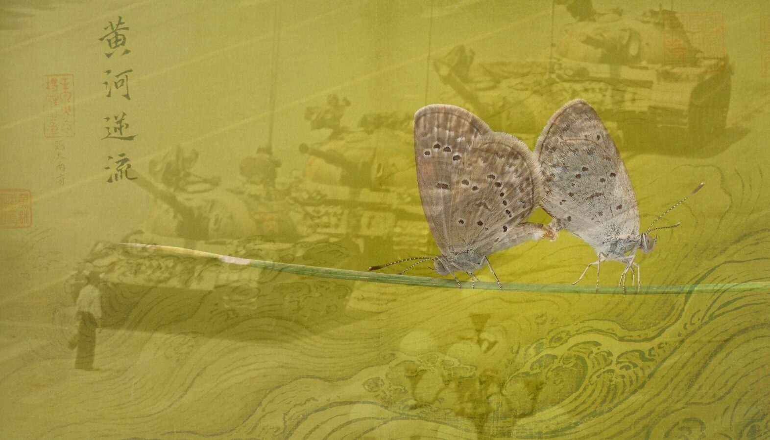 kinesisk sommerfugl avantgarde sidse laugesen digtsamling