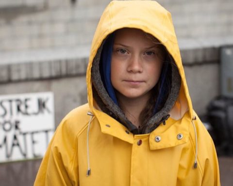 Heldigvis har vi brave Greta Thunberg og nu Klimabogen