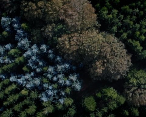 drone naturfilm dokumentar