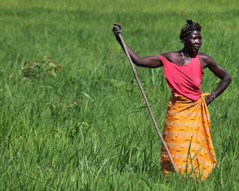 Nu kan kvinder eje jord i Sierra Leone: “Jordrettigheder og ligestilling er unægtelig forbundet”