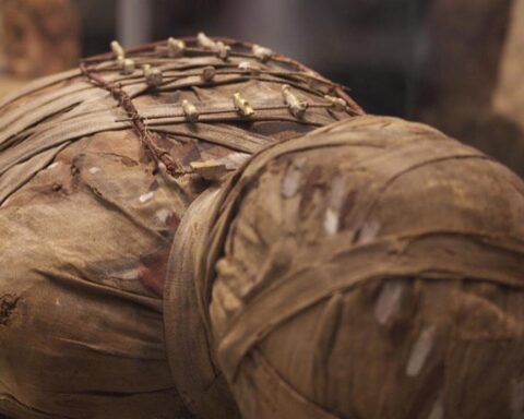 Nej, tre britiske museer har ikke bandlyst ordet ‘mumie’