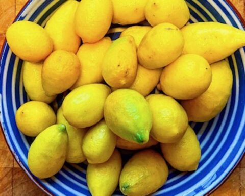 Theils Cantina: Foråret skal sparkes i gang med citroner