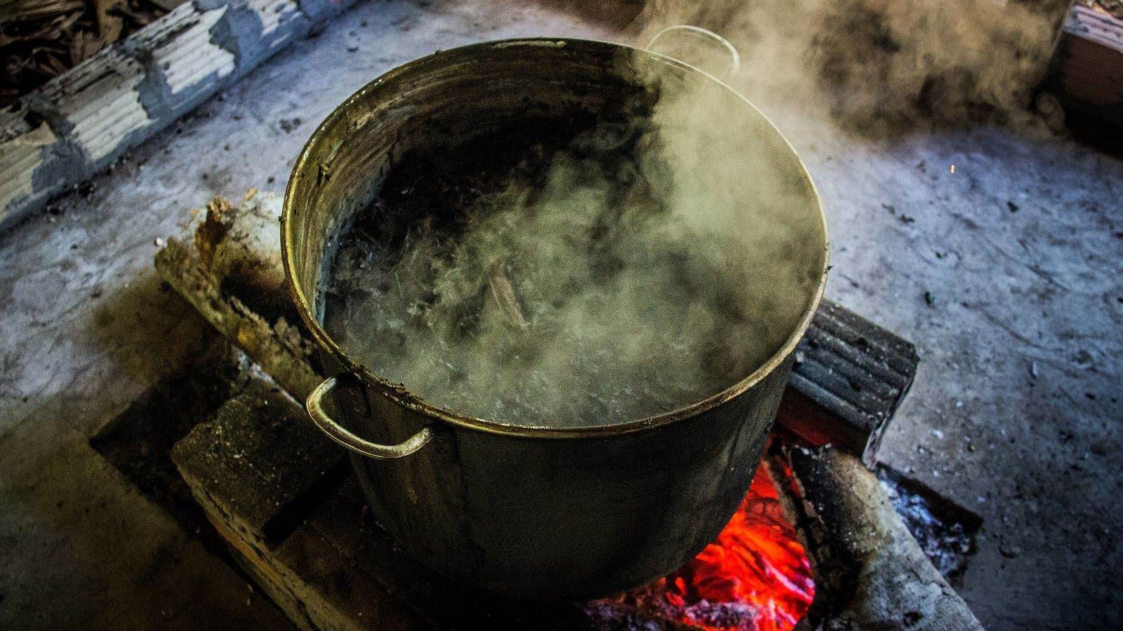 ayahuasca