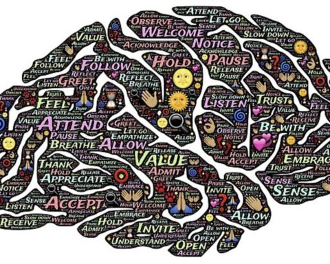 POVcast: Hvordan ser viden ud i hjernen?