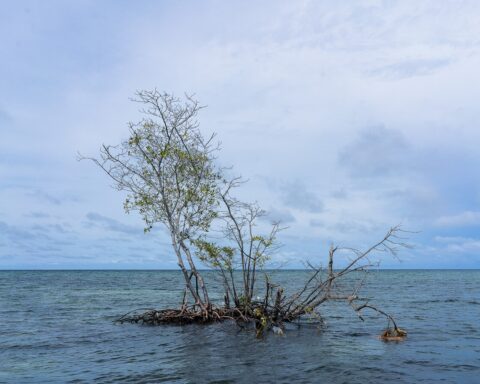 Colombia: Klimakrisen er ved at oversvømme verdens tættest befolkede ø