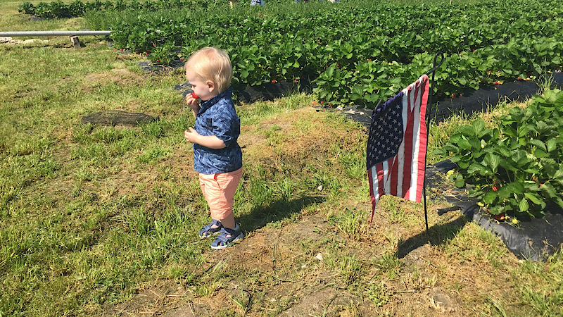 Opvæksten i USA har åbnet døre for, hvor fremtiden kan ligge