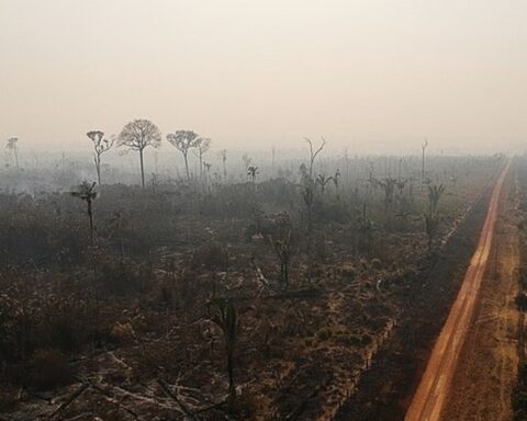 Colombia går forrest, når naturens Paris-aftale i år skal op at flyve