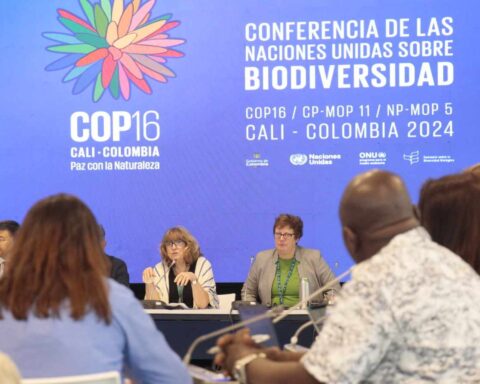 Fra COP16 CBD til COP29: Biodiversitetstopmødet i Cali har været en succes for Colombia