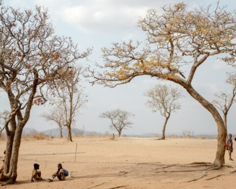 Tørkeramte Zimbabwe: Regeringens Afrika-strategi kan måske hjælpe