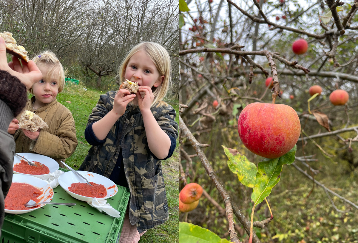 Børn kan også hjælpe til i Camillos Køkken