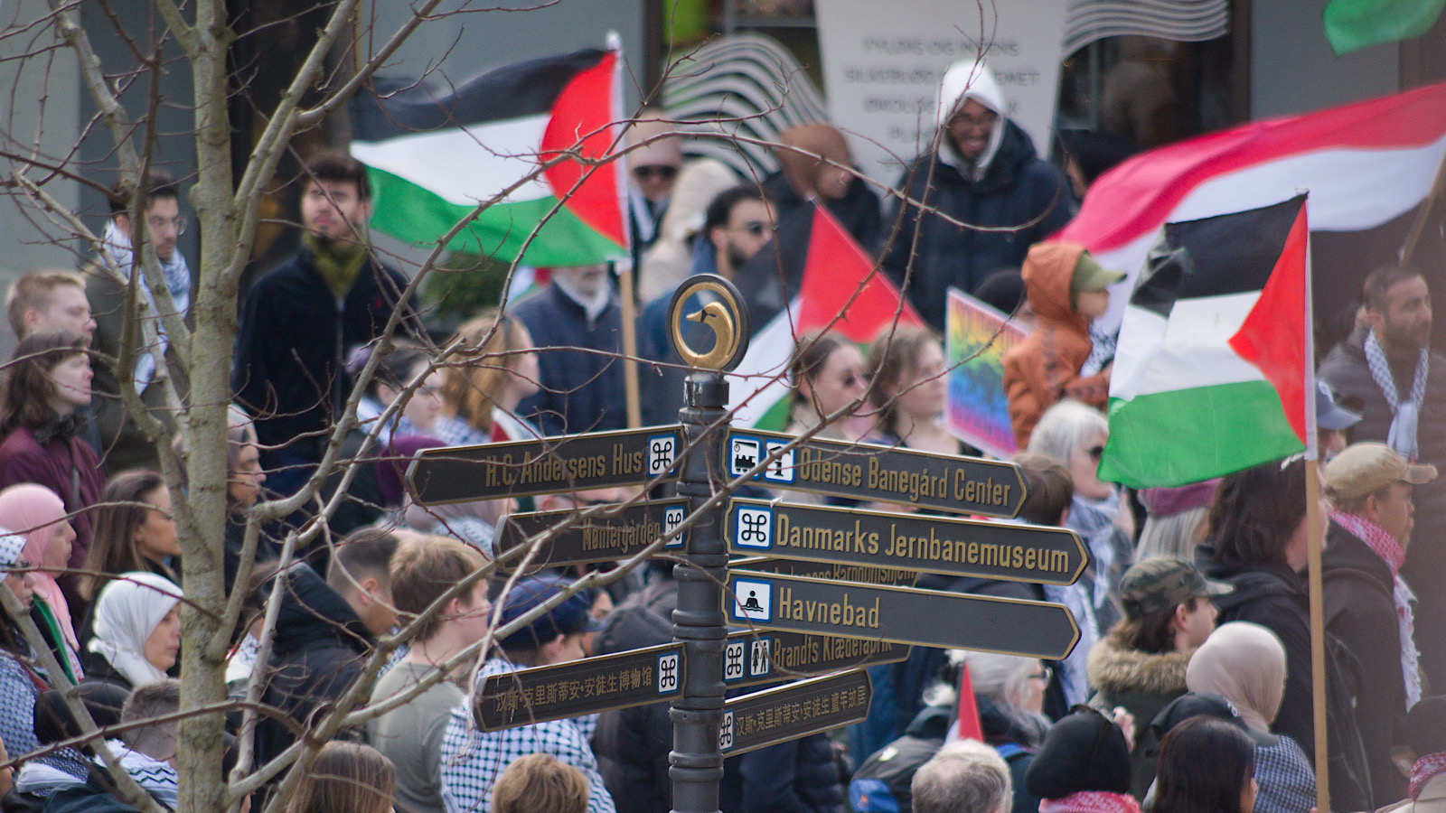 Danskere på gaden i protest mod krigen i Gaza. Hvorfor må forfattere ikke protestere, spørger Louise Juhl Dalsgaard