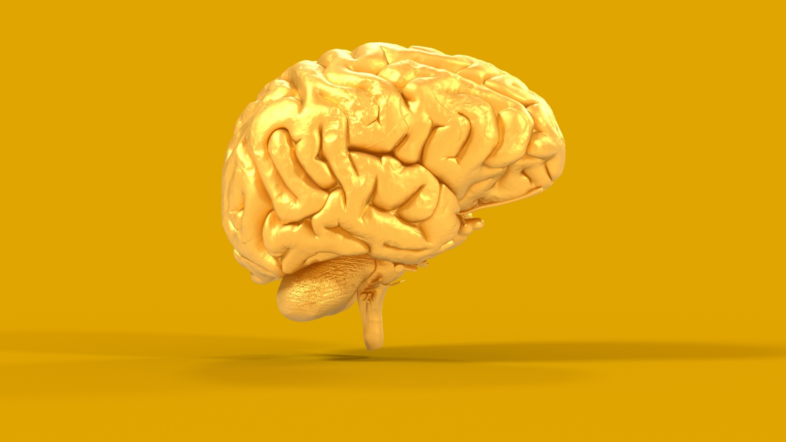 En illustration af neurodivergens vha. en hjerne.