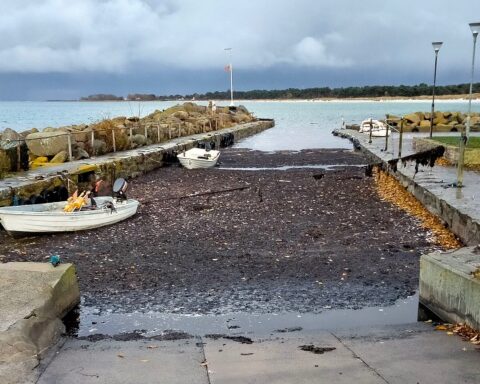 Da fedtemøget tog over